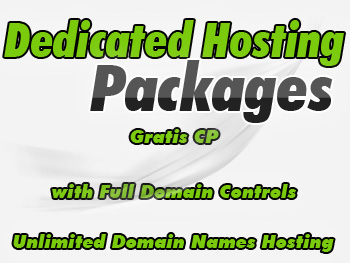 Half-priced dedicated servers hosting package